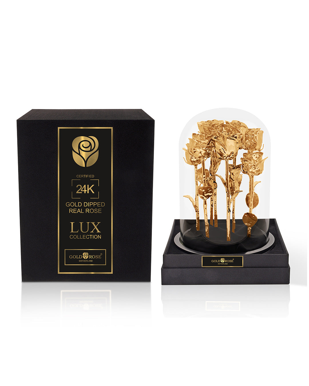 24K GOLD GRANDIOSE