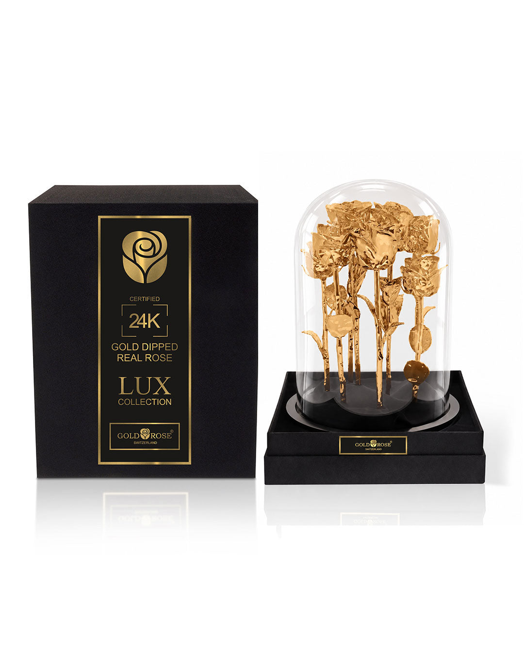 24K GOLD GRANDIOSE